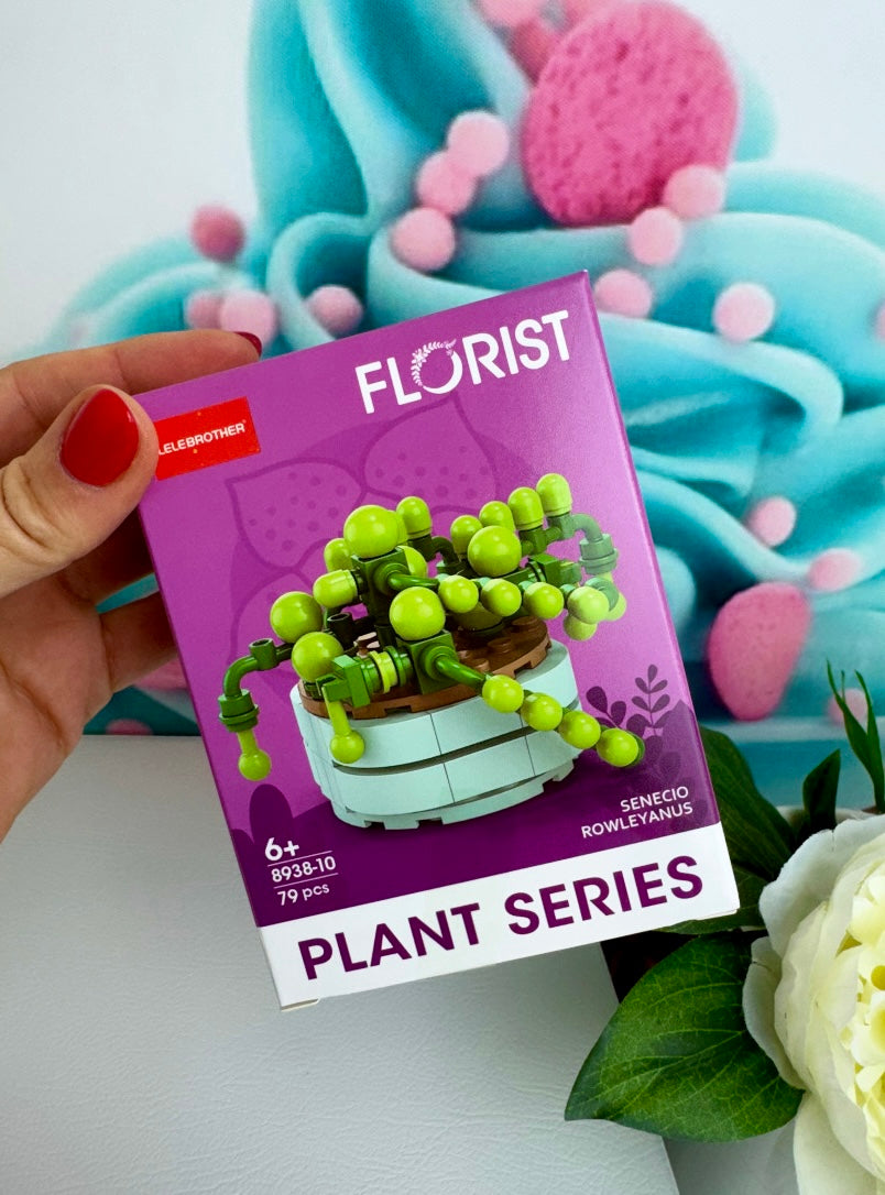 Mini Building Blocks Bundle - "Kakteen" - Klemmbausteine (12Sets)