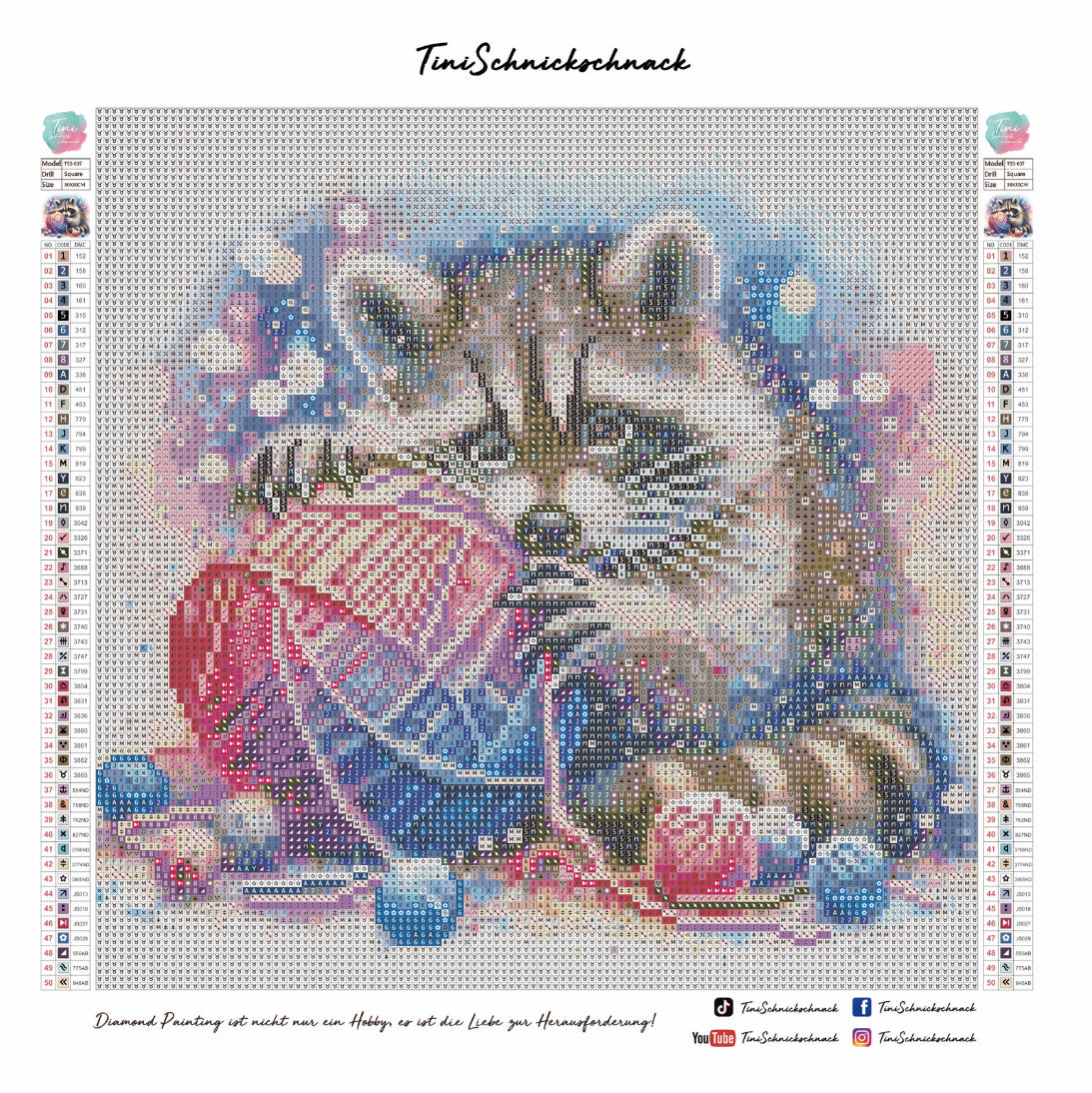 Diamond Painting Bild "Waschbär Winni" von Lisa Morgan 30x30cm (inkl. Feenstaub) TSS-637