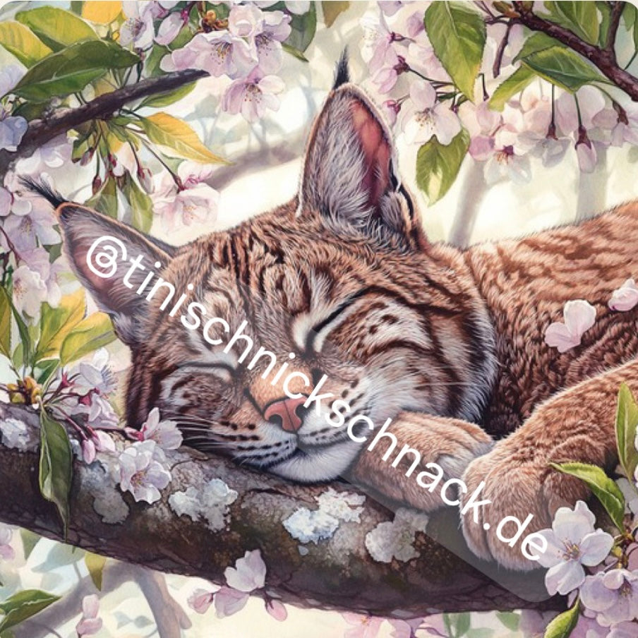 Diamond Painting Bild "Schlummer Luchs" von AI-Artist Sandrietta_ai (inkl. Feenstaub) 50x50cm TSS-597