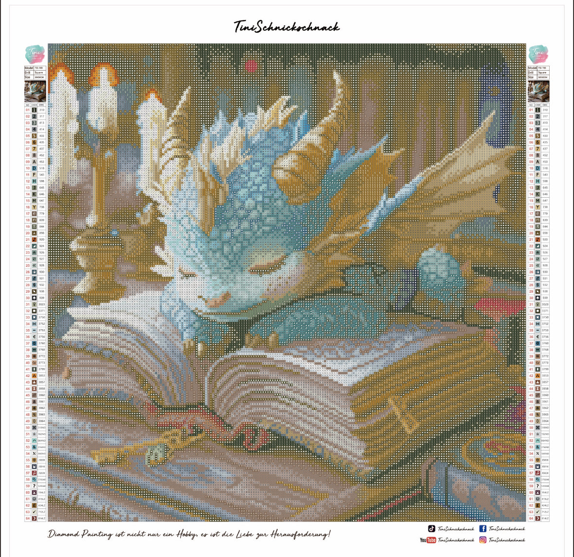 Diamond Painting TiniSchnickschnack Bild "Bücherdrache Thalor" 50x50cm TSS-703